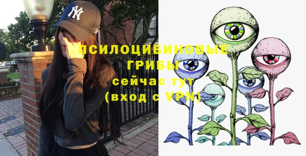 ГАЛЛЮЦИНОГЕННЫЕ ГРИБЫ Белокуриха
