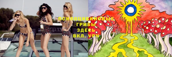ГАЛЛЮЦИНОГЕННЫЕ ГРИБЫ Белокуриха