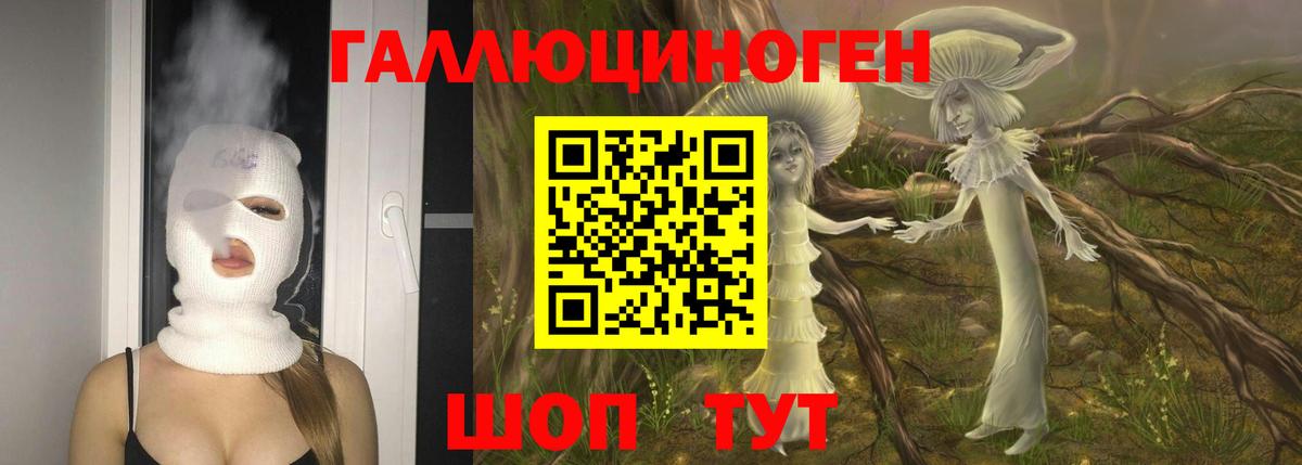 Великий Устюг  Галлюциногенные грибы Magic Shrooms  Вход с VPN  сколько стоит  Псилоцибиновые грибы мицелий 