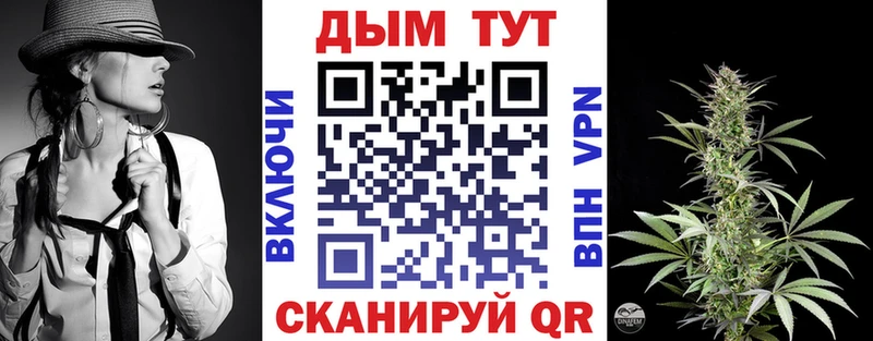 Конопля сатива  Великий Устюг 